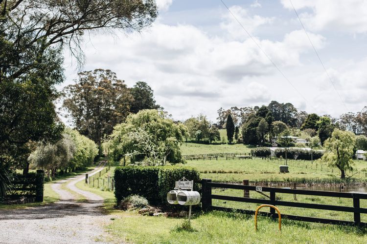 Daisy Hill, Southern Highlands