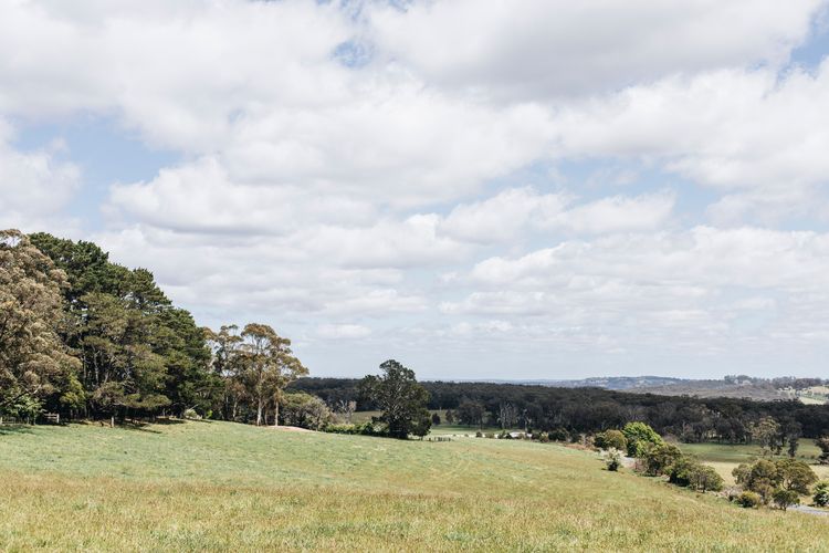 Daisy Hill, Southern Highlands