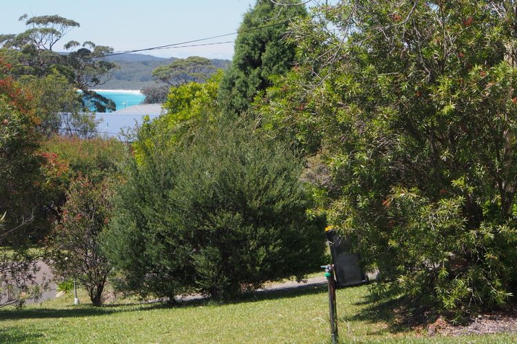 Tiptoe, Hyams Beach