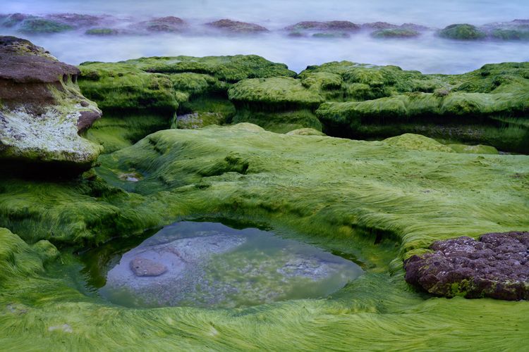 Bayview on Bayview, Hyams Beach