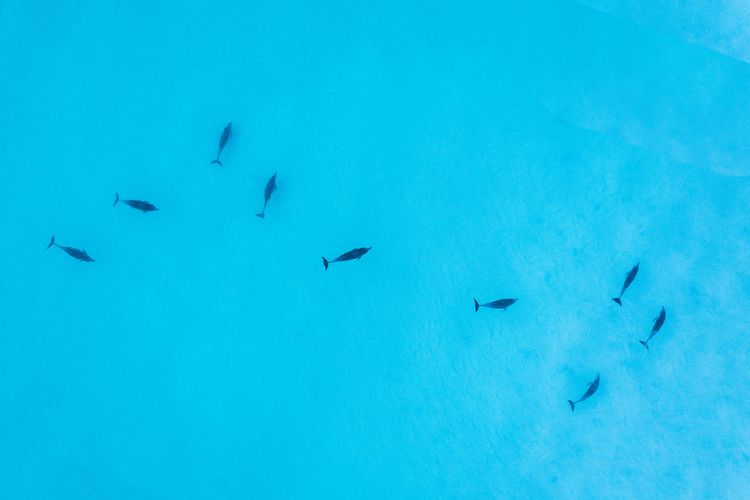 Akora Cabin at Hyams Beach