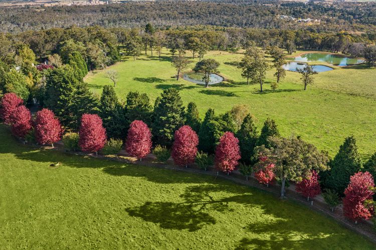 Glen Regan, Berrima