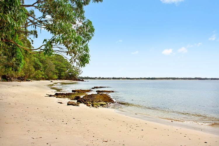 The Great White, Vincentia