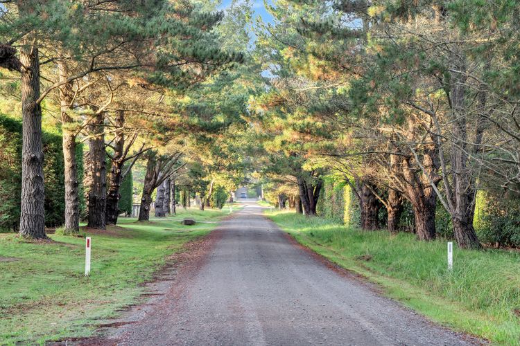 Iona Park, Moss Vale