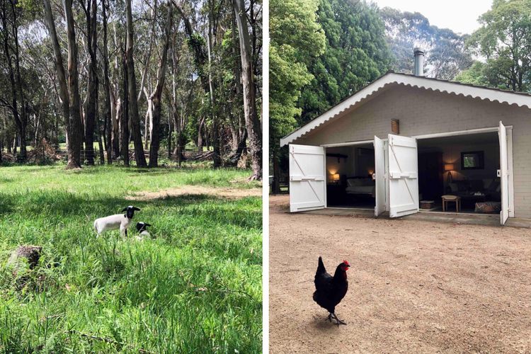 Annies Barn, Fitzroy Falls