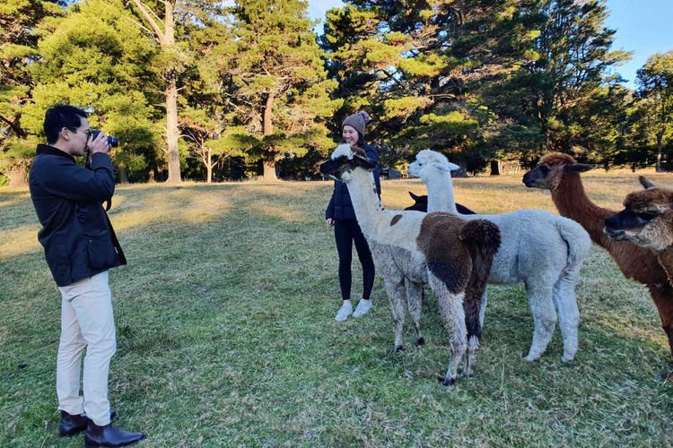Annies Barn, Fitzroy Falls