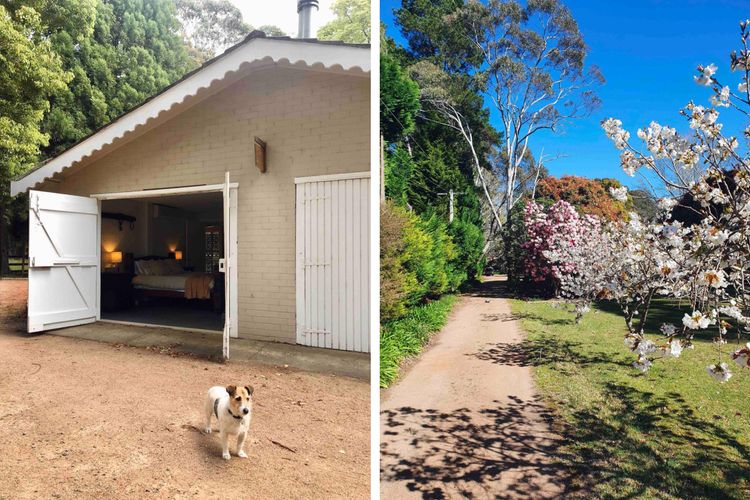 Annies Barn, Fitzroy Falls