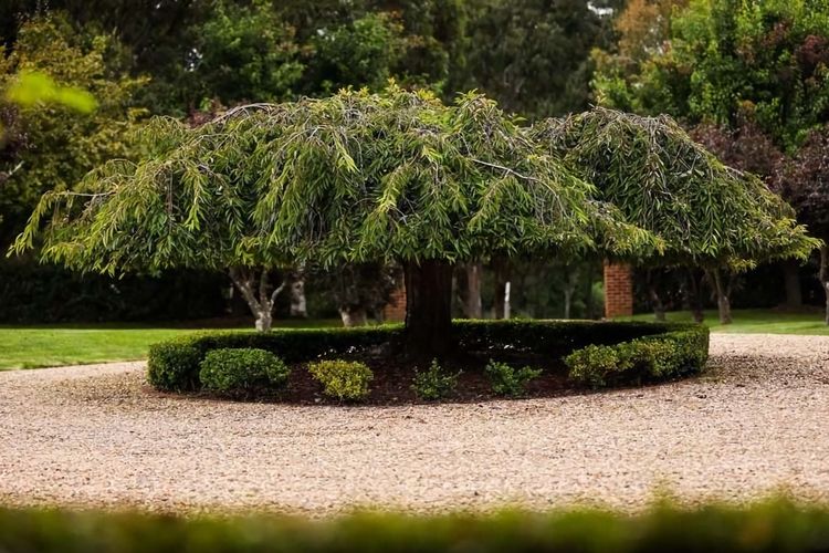 Avonlea, Bowral, Southern Highlands