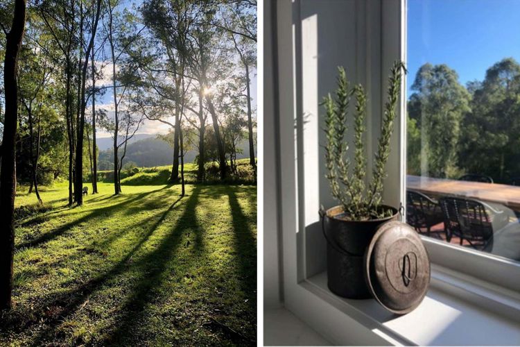 Birdsong, Kangaroo Valley