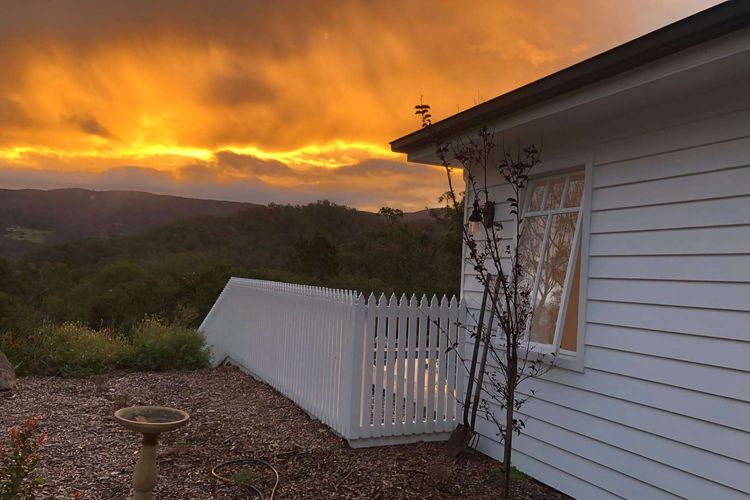 Birdsong, Kangaroo Valley