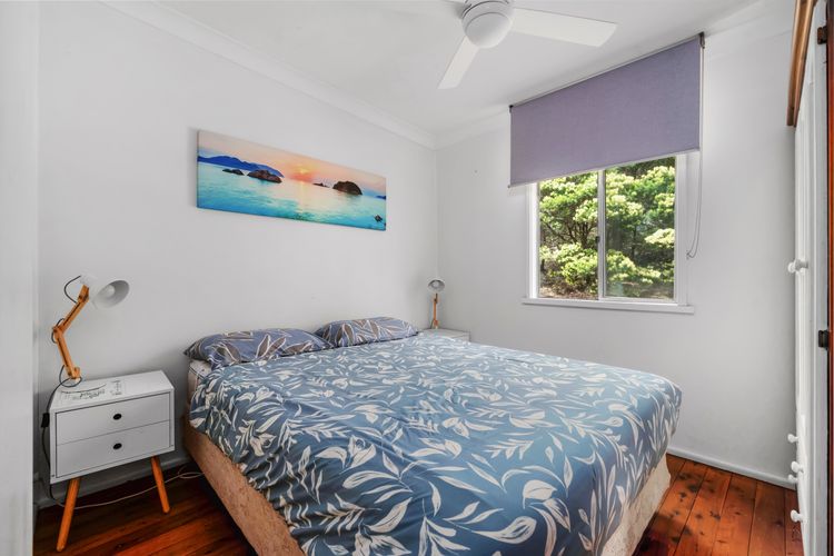 Bush Baby at Blenheim Beach, Vincentia