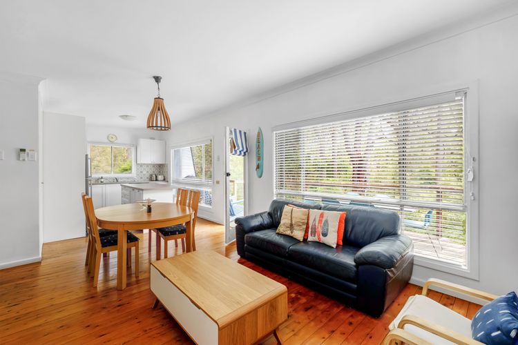 Bush Baby at Blenheim Beach, Vincentia