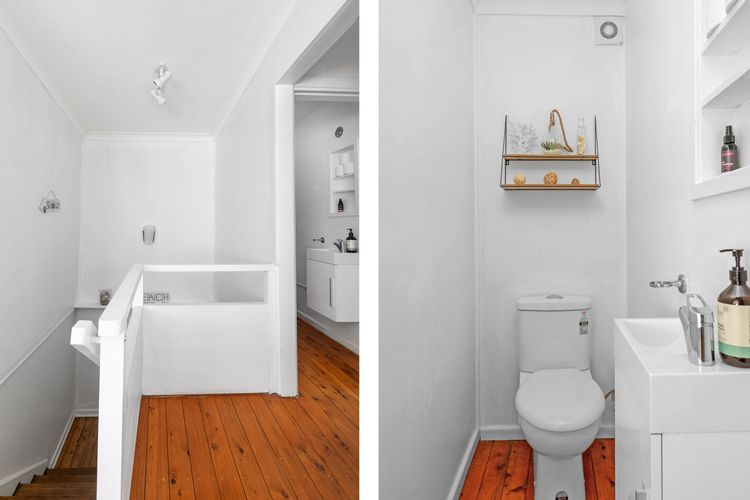 Bush Baby at Blenheim Beach, Vincentia