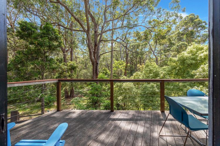 Bush Baby at Blenheim Beach, Vincentia