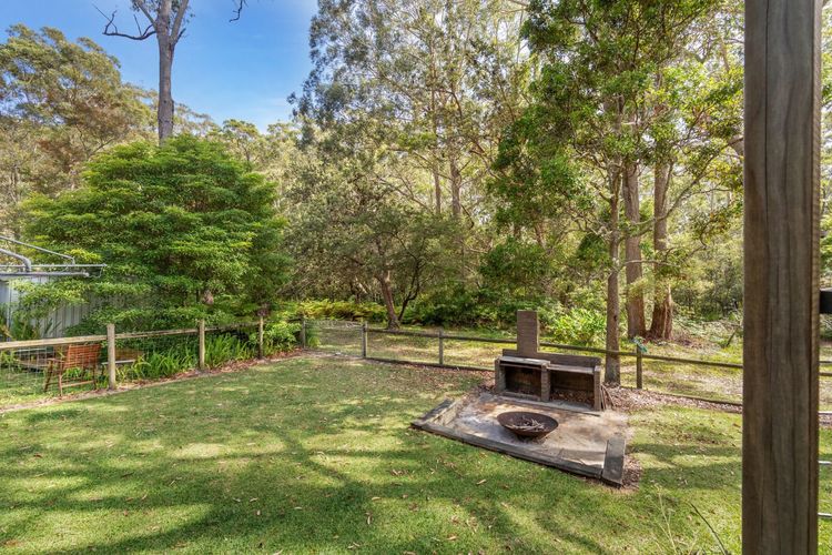 Bush Baby at Blenheim Beach, Vincentia