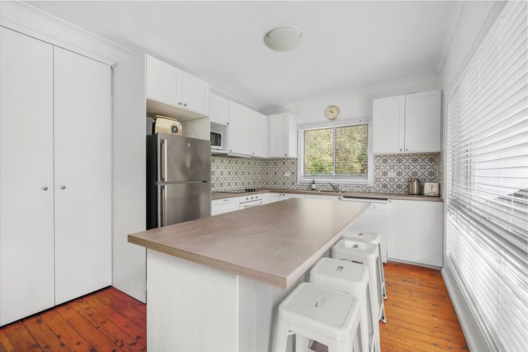 Bush Baby at Blenheim Beach, Vincentia