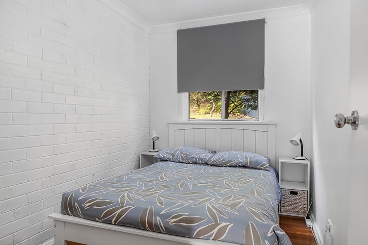 Bush Baby at Blenheim Beach, Vincentia