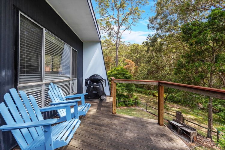 Bush Baby at Blenheim Beach, Vincentia