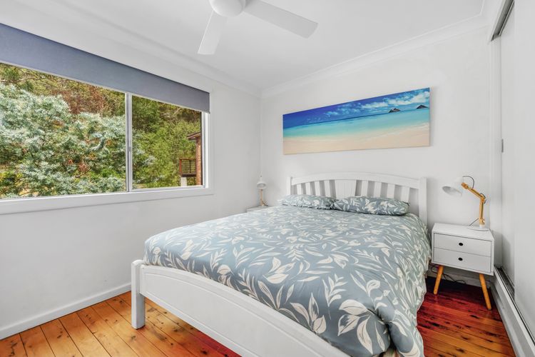 Bush Baby at Blenheim Beach, Vincentia