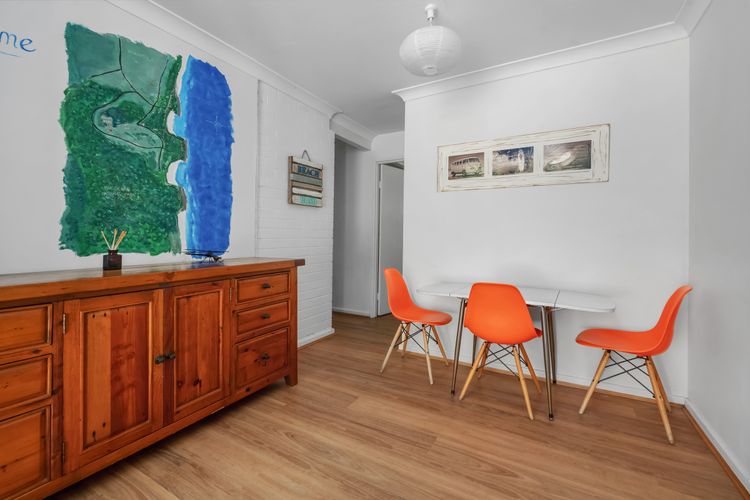 Bush Baby at Blenheim Beach, Vincentia