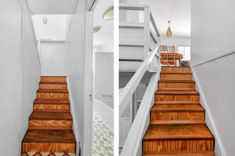 Bush Baby at Blenheim Beach, Vincentia