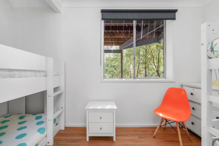 Bush Baby at Blenheim Beach, Vincentia