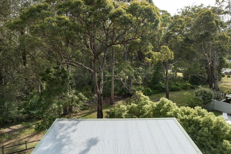 Bush Baby at Blenheim Beach, Vincentia