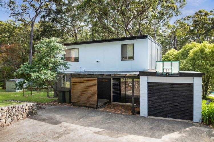 Bush Baby at Blenheim Beach, Vincentia