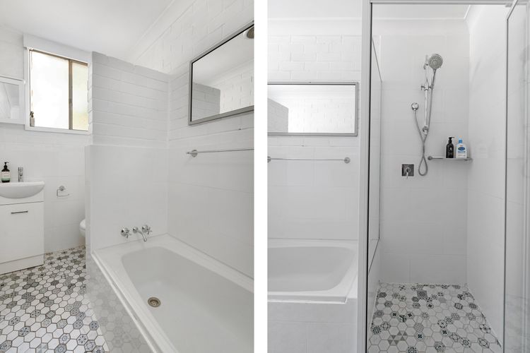 Bush Baby at Blenheim Beach, Vincentia