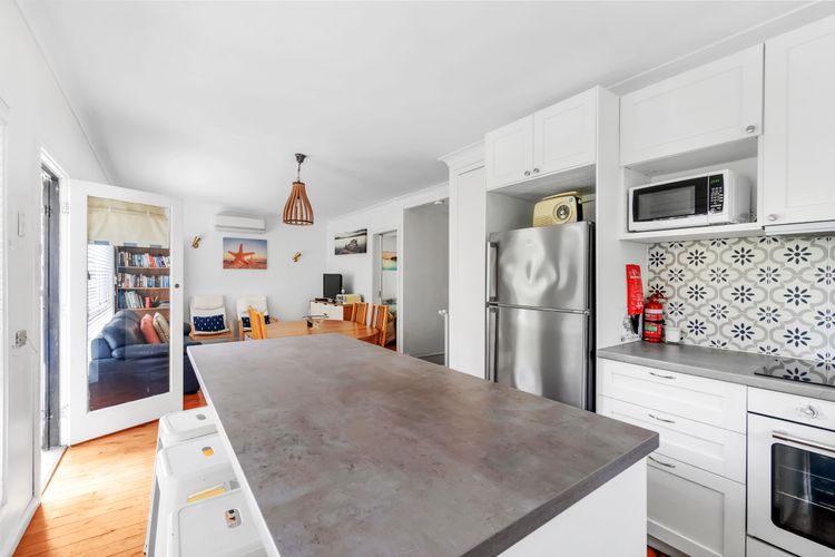 Bush Baby at Blenheim Beach, Vincentia