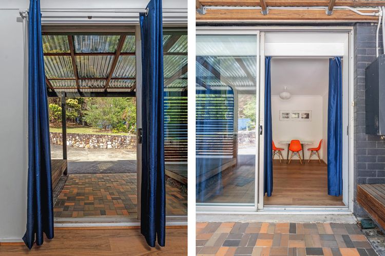 Bush Baby at Blenheim Beach, Vincentia