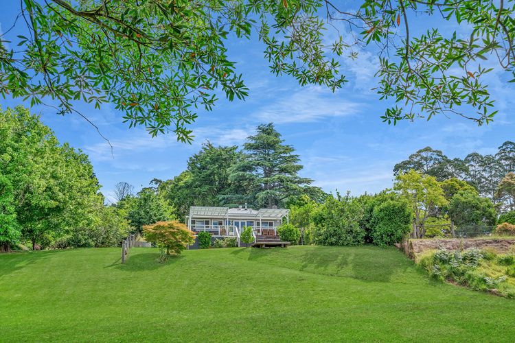 The Sleepy Roo, Kangaroo Valley