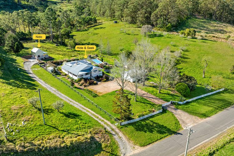 Hide and Seek, Kangaroo Valley