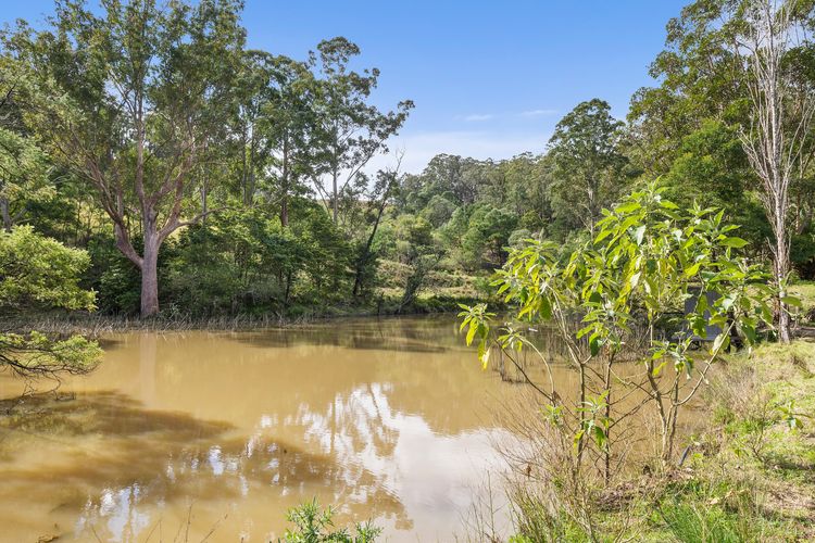 Nido, Kangaroo Valley