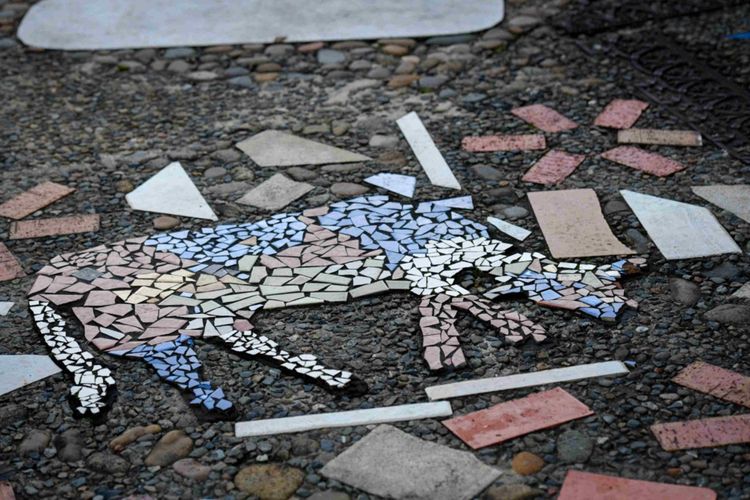 Kayenta, Kangaroo Valley