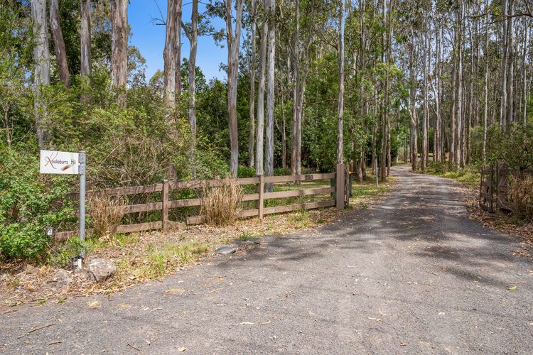 Kookaburra Hill, Kangaroo Valley