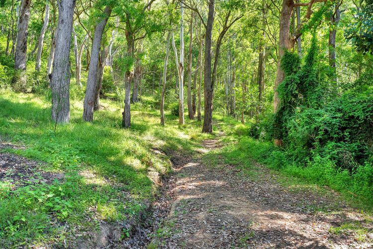 Kooyong, Kangaroo Valley