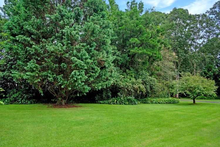 Kooyong, Kangaroo Valley