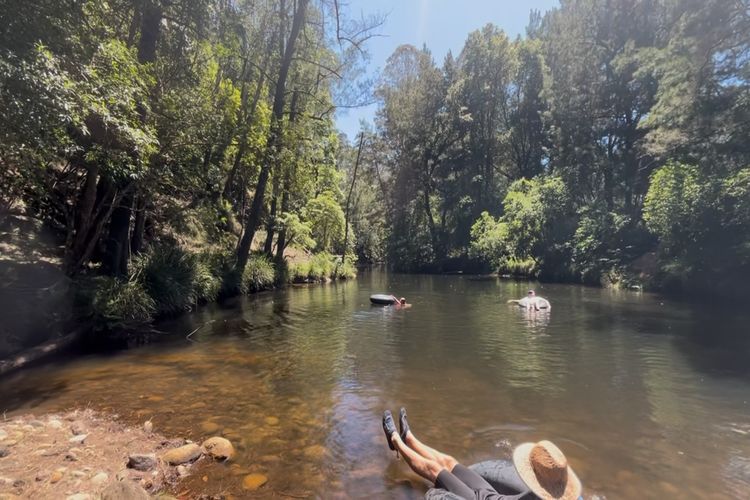 Lavender Hill, Kangaroo Valley