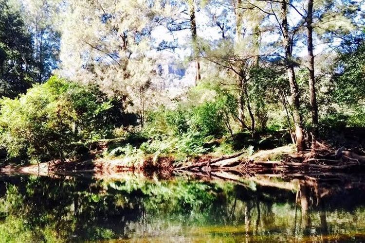 Lavender Hill, Kangaroo Valley