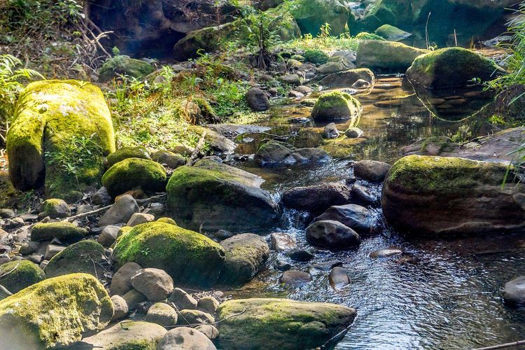 Lemon Tree Cottage, Kangaroo Valley