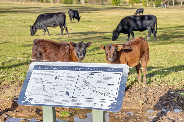 Maddys KV, Kangaroo Valley