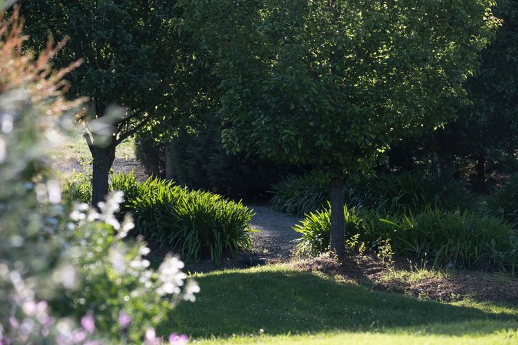 Serendipity, Kangaroo Valley