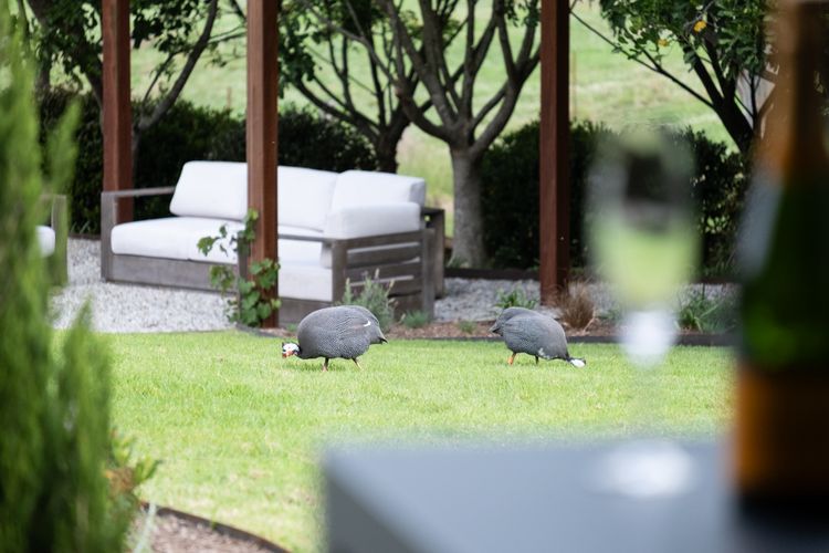 Serendipity, Kangaroo Valley