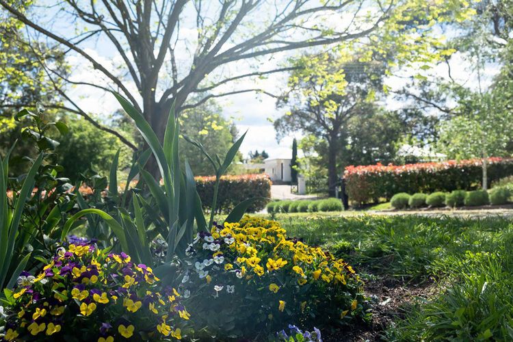 Somerset, Berrima, Southern Highlands