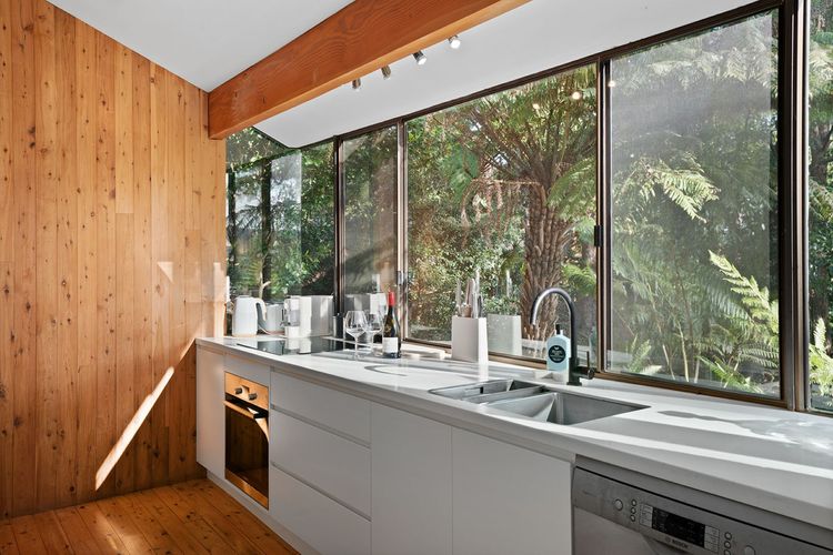 Ribbonwood, Kangaroo Valley