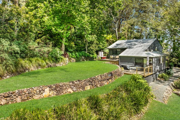 Ribbonwood, Kangaroo Valley