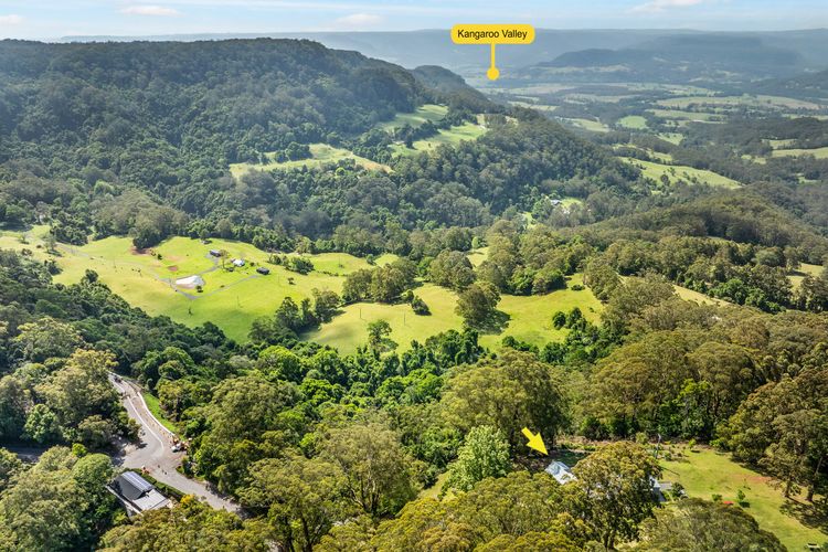 Ribbonwood, Kangaroo Valley
