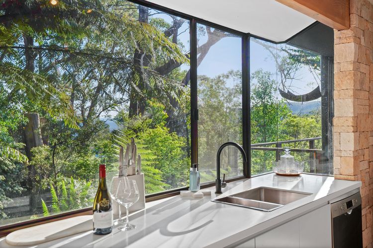 Ribbonwood, Kangaroo Valley