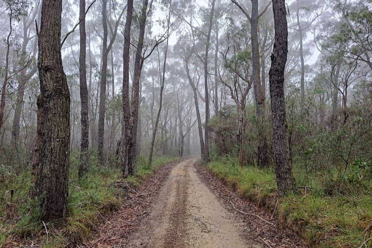 Red Rocks Mountain Retreat, Browns Mountain, Kangaroo Valley